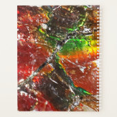 Falln Piedras Arcoiris Planer (Rückseite)