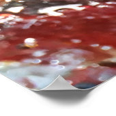 Falln Piedras Arcoiris Poster (Ecke)