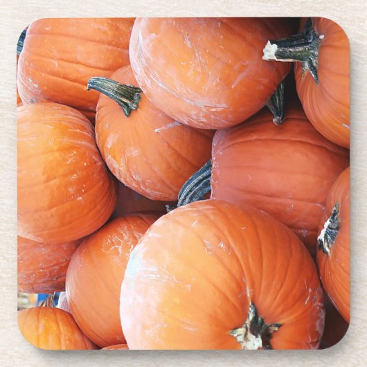 Falln Pumpkin Pile Getränkeuntersetzer (Vorderseite)