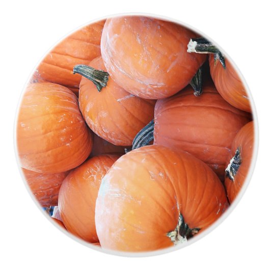 Falln Pumpkin Pile Keramikknauf (Vorderseite)