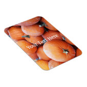 Falln Pumpkin Pile Magnet (Rechte Seite)