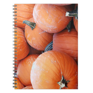 Falln Pumpkin Pile Notizblock