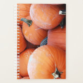 Falln Pumpkin Pile Planer (Vorderseite)