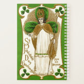 Falln Saint Patrick Planer (Rückseite)