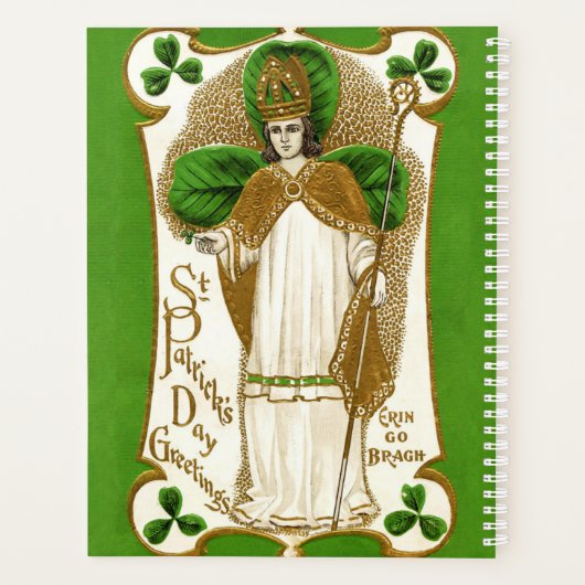 Falln Saint Patrick Planer (Rückseite)