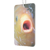 Falln Singing Ghost Koi Autolufterfrischer (Links)
