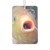 Falln Singing Ghost Koi Autolufterfrischer (Rückseite)