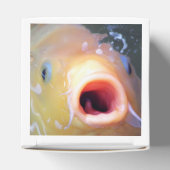 Falln Singing Ghost Koi Geschenkschachtel (Oben)