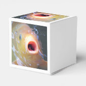 Falln Singing Ghost Koi Geschenkschachtel (Rückseite)