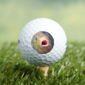 Falln Singing Ghost Koi Golfball (Insitu T-Shirt)