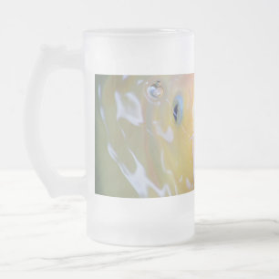 Falln Singing Ghost Koi Mattglas Bierglas
