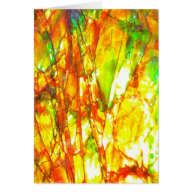 Falln Sunset Ammolite (Vorne)