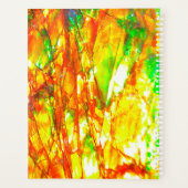 Falln Sunset Ammolite Planer (Rückseite)