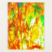 Falln Sunset Ammolite Planer (Vorderseite)