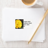 Falln Sunshine Adressaufkleber (Insitu)