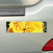 Falln Sunshine Autoaufkleber (Auf Auto)