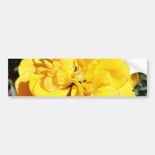 Falln Sunshine Autoaufkleber