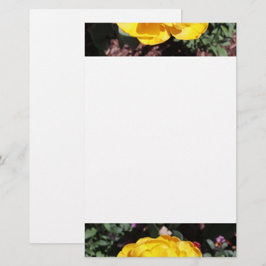 Falln Sunshine Briefpapier (Vorne/Hinten)