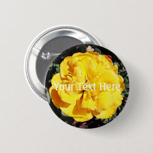 Falln Sunshine Button (Vorne & Hinten)