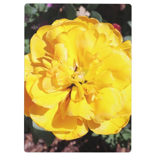 Falln Sunshine Klemmbrett (Rückseite)