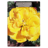 Falln Sunshine Klemmbrett (Vorderseite)