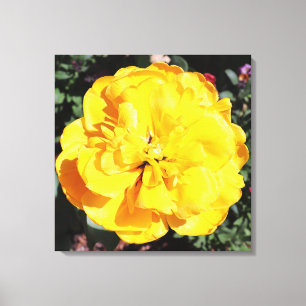 Falln Sunshine Leinwanddruck