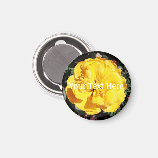 Falln Sunshine Magnet (Vorderseite/Rückseite)