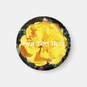 Falln Sunshine Magnet (Vorne)