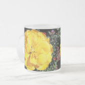 Falln Sunshine Mattglastasse (Vorderseite Links)