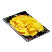 Falln Sunshine Notizblock (Rechte Seite)