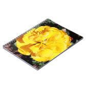 Falln Sunshine Notizblock (Linke Seite)