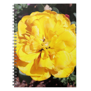 Falln Sunshine Notizblock