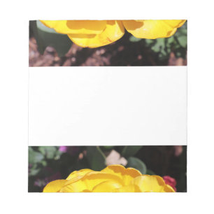 Falln Sunshine Notizblock