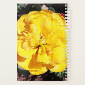 Falln Sunshine Planer (Rückseite)