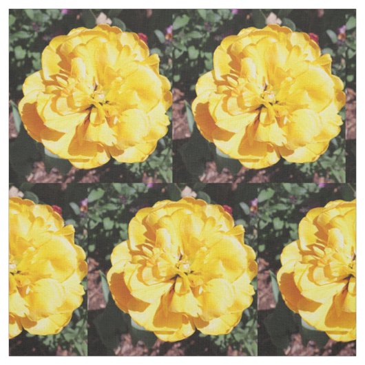 Falln Sunshine Stoff (Muster)