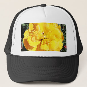 Falln Sunshine Truckerkappe
