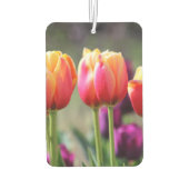 Falln Tulips Aflm Autolufterfrischer (Rückseite)