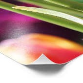 Falln Tulips Aflm Fotodruck (Ecke)