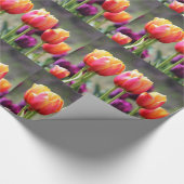 Falln Tulips Aflm Geschenkpapier (Ecke)