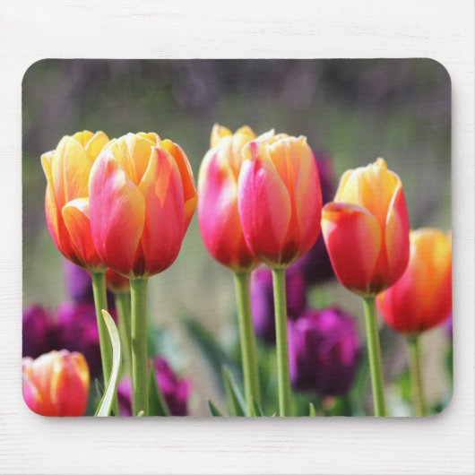Falln Tulips Aflm Mousepad (Vorne)