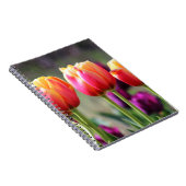 Falln Tulips Aflm Notizblock (Rechte Seite)