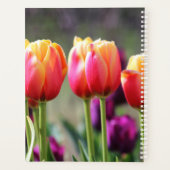 Falln Tulips Aflm Planer (Rückseite)