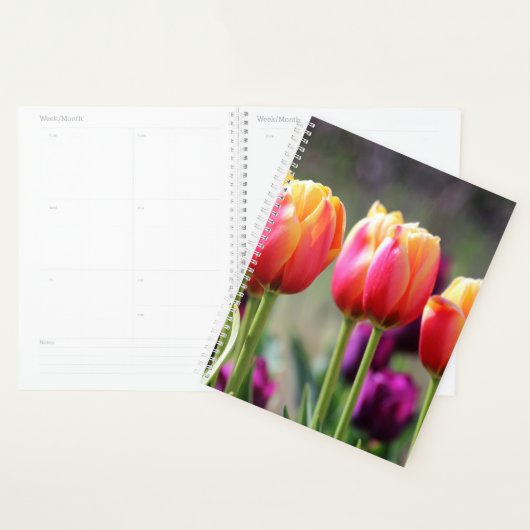 Falln Tulips Aflm Planer (Anzeige)
