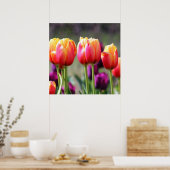 Falln Tulips Aflm Poster (Küche)
