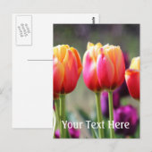 Falln Tulips Aflm Postkarte (Vorne/Hinten)