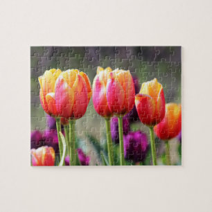 Falln Tulips Aflm Puzzle