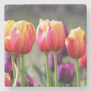 Falln Tulips Aflm Steinuntersetzer
