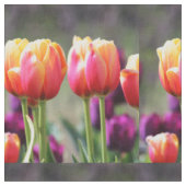 Falln Tulips Aflm Stoff (Nahaufnahme)