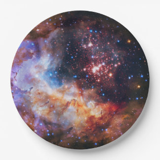 Falln Westerlund Star Field Pappteller