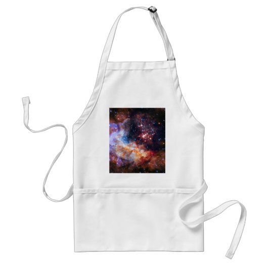 Falln Westerlund Star Field Schürze (Vorne)